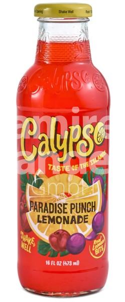 Calypso Paradise Punch Lemonade 473 ml